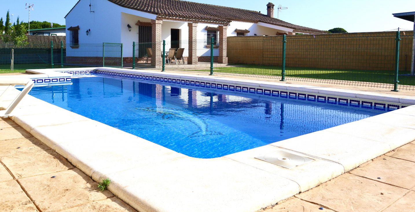 Pisicna