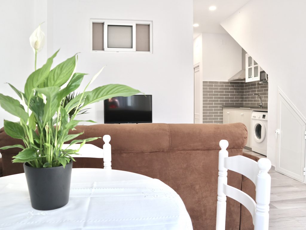 alquiler vacacional conil apartamento piscina chalet con piscina